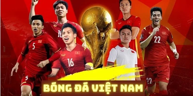 bóng đá việt nam