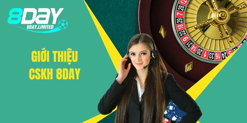 Khái quát về bộ phận CSKH 8day