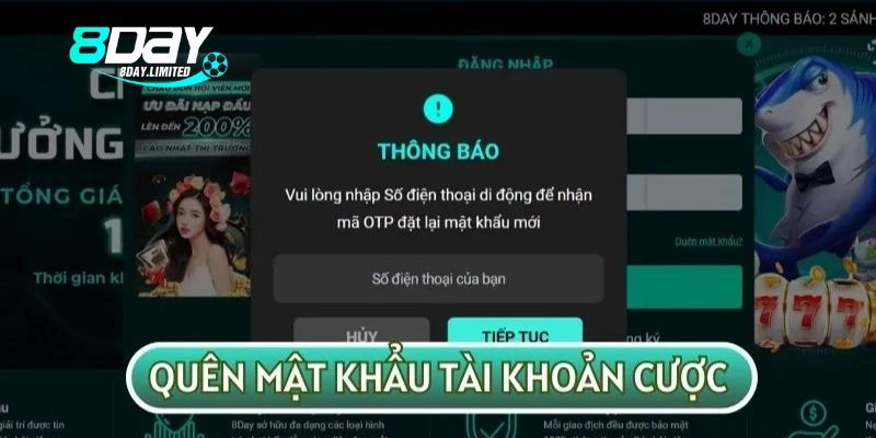 Có thể lấy lại tài khoản 8day khi quên mật khẩu