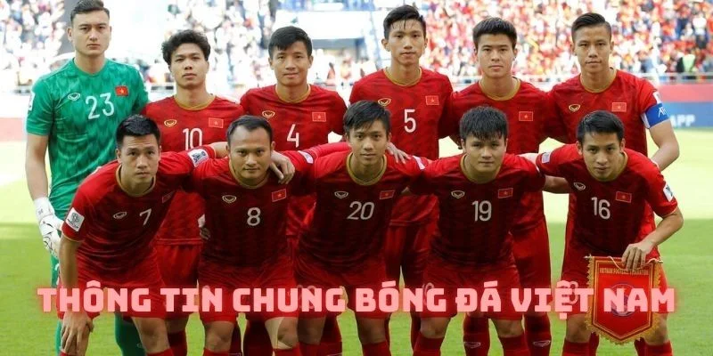 Thông tin chung mà người đọc cần nắm được về bóng đá Việt Nam