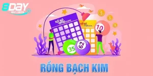 8day rồng bạch kim 666