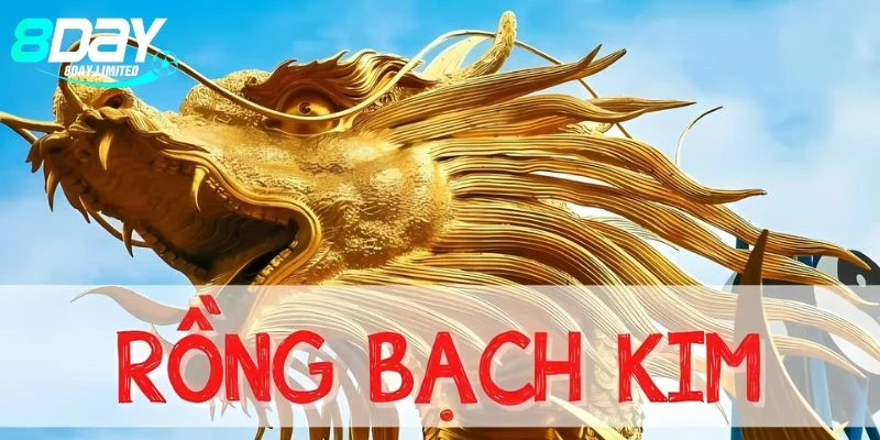 Rồng Bạch Kim 666 mang đến cho bạn con số may mắn