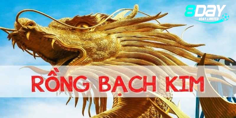 Soi cầu rồng chuẩn xác dễ trúng lớn