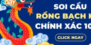 RỒNG BẠCH KIM 8DAY